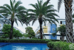 Nhà Đẹp Full Nội Thất Xịn Rosita Khang Điền, P. Phú Hữu 4 Phòng 4 Vệ Sinhsân Vườn, Giá Bán 16 Triệu